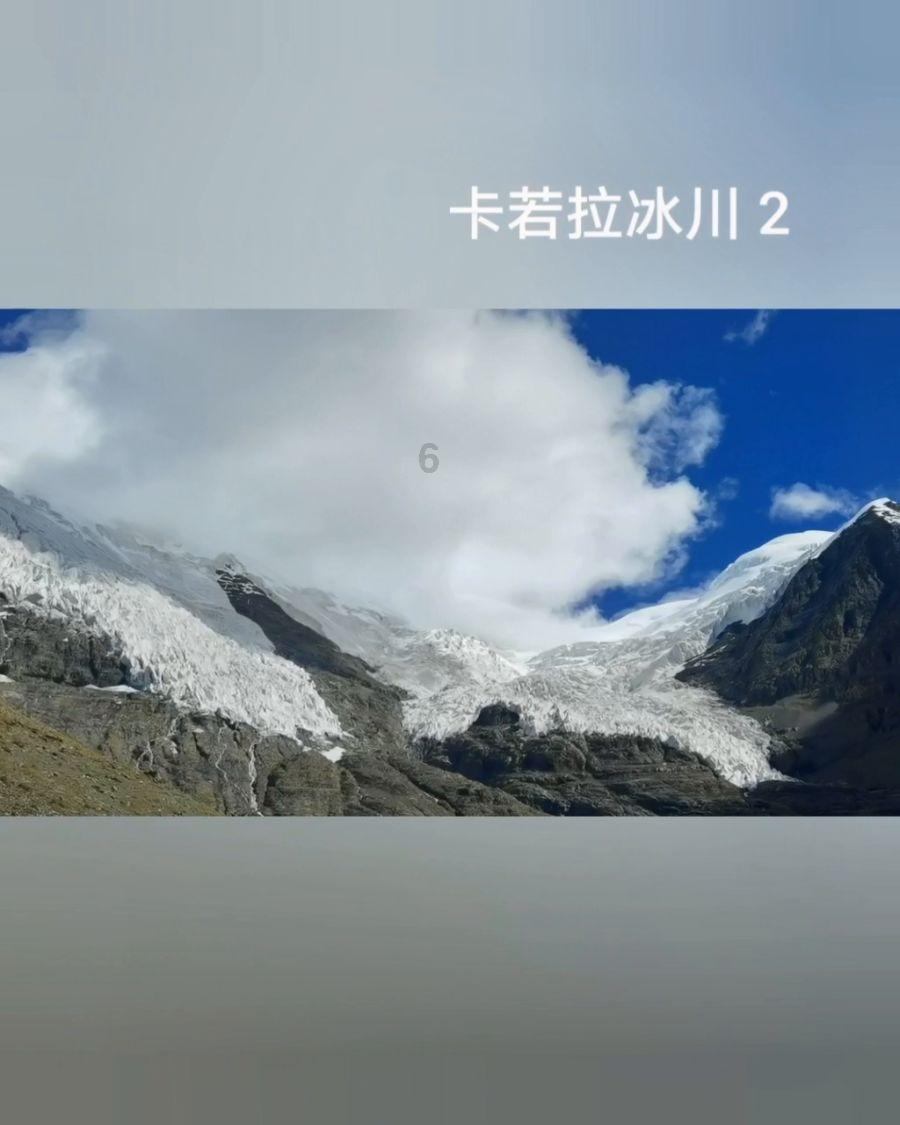 大金狮逃生